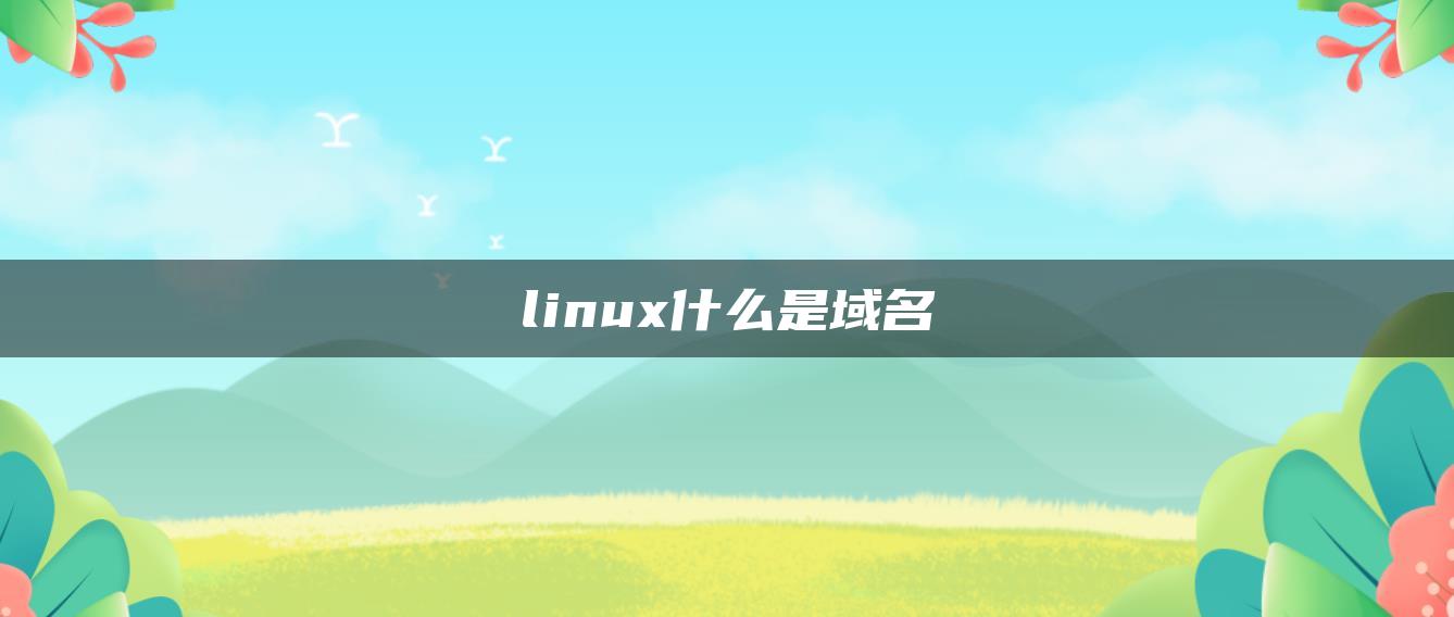 linux什么是域名