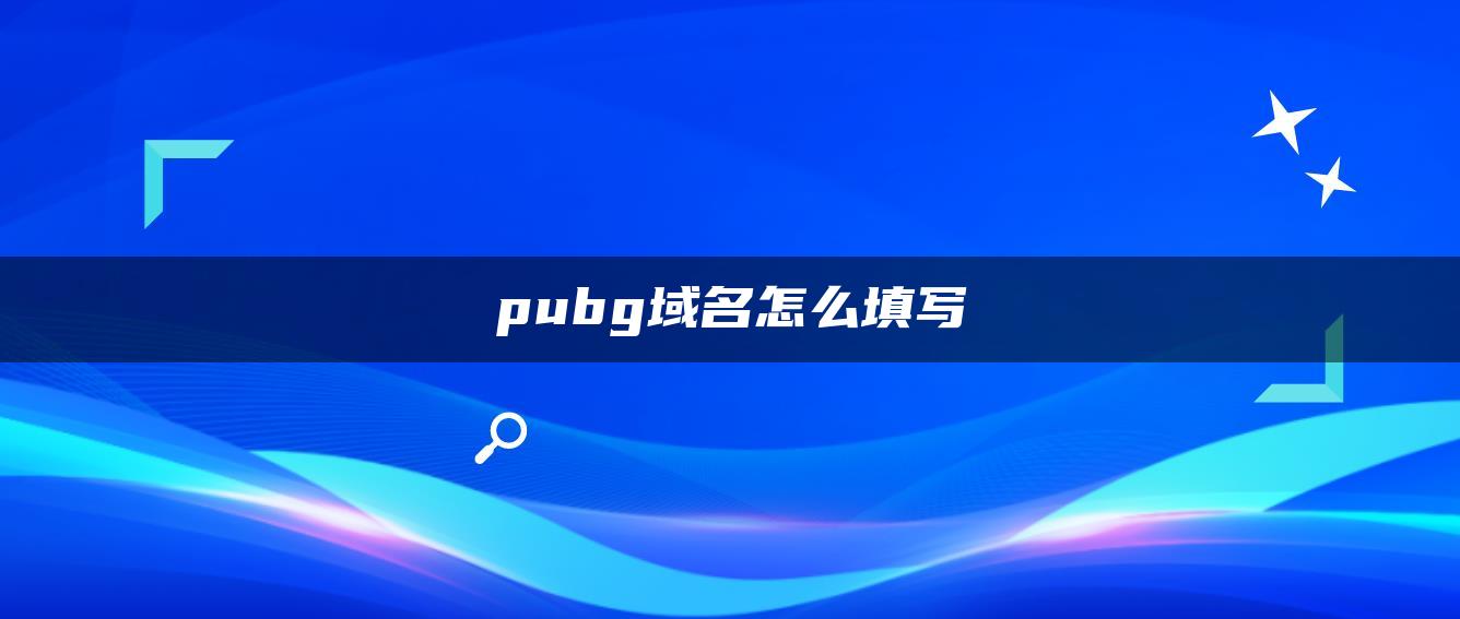 pubg域名怎么填写