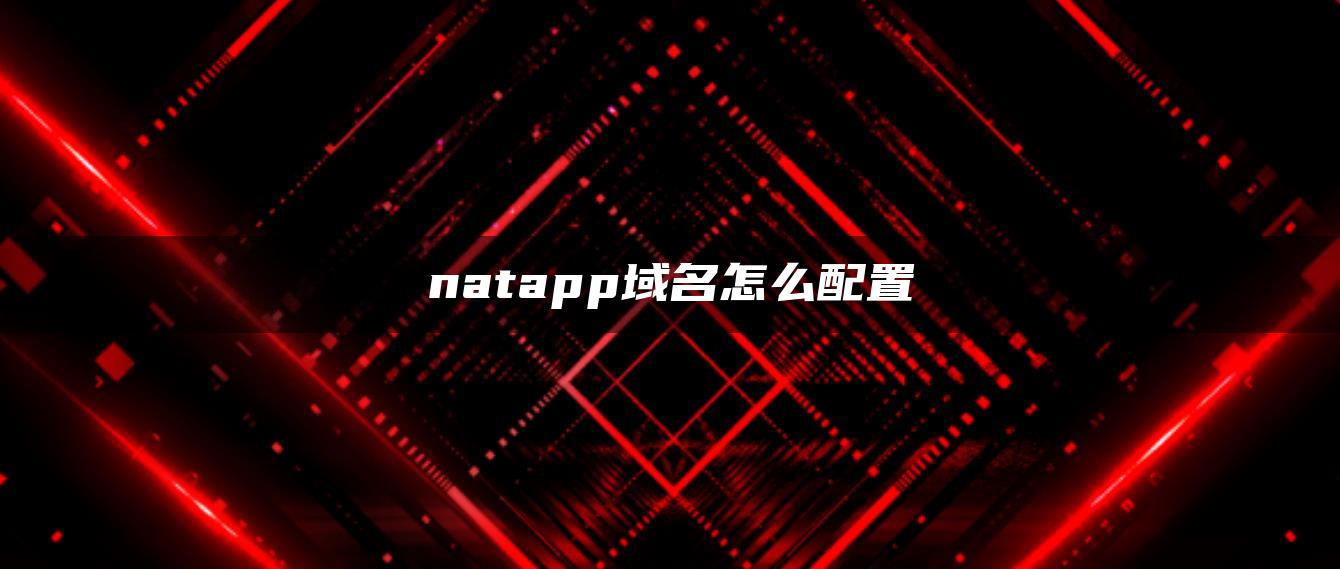 natapp域名怎么配置