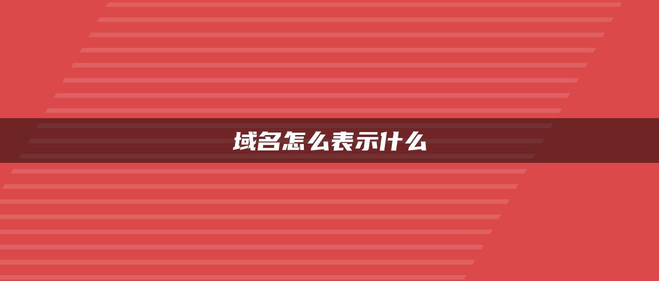 域名怎么表示什么