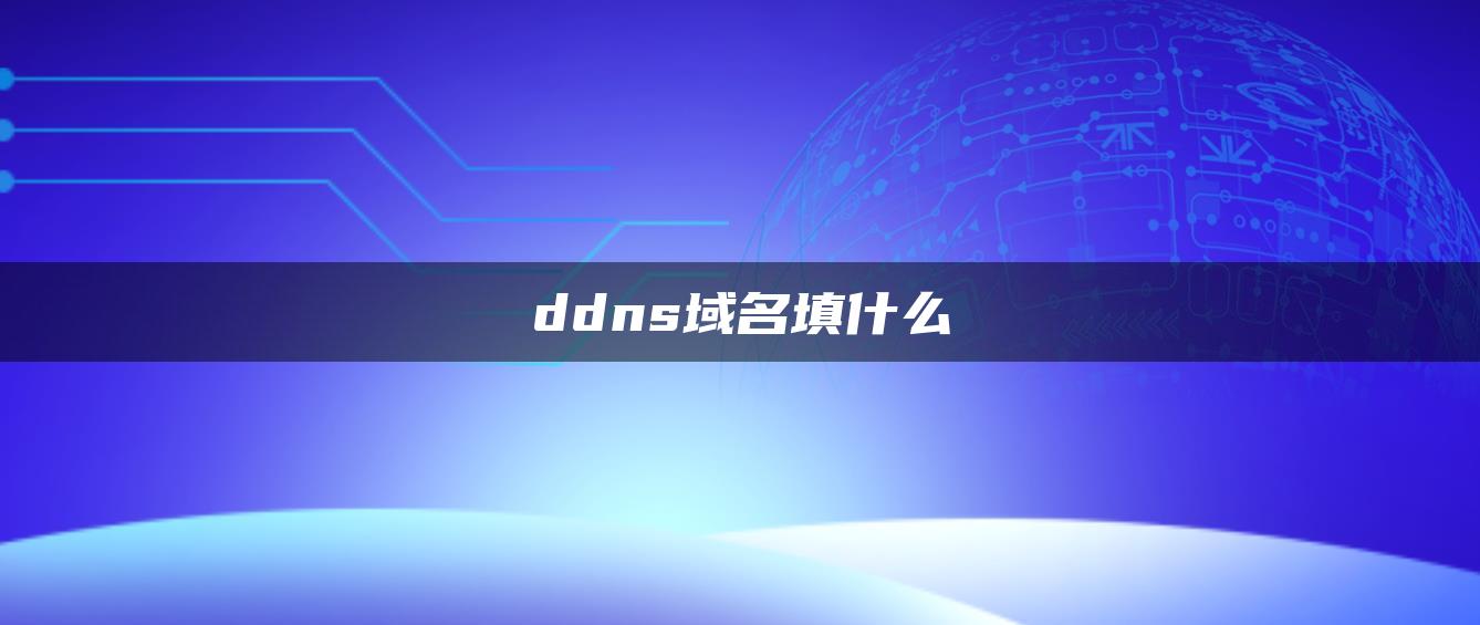 ddns域名填什么