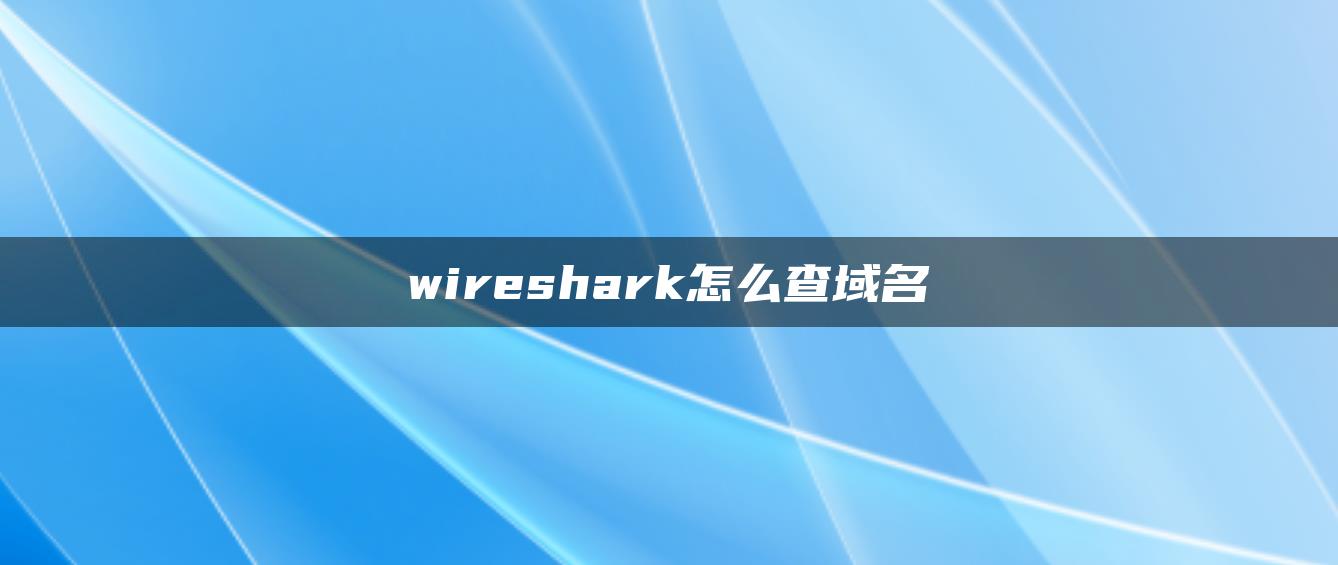 wireshark怎么查域名