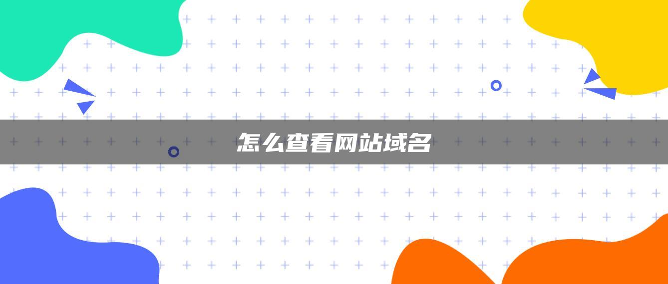 怎么查看网站域名