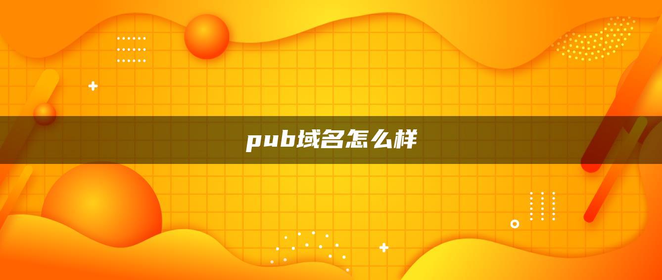 pub域名怎么样