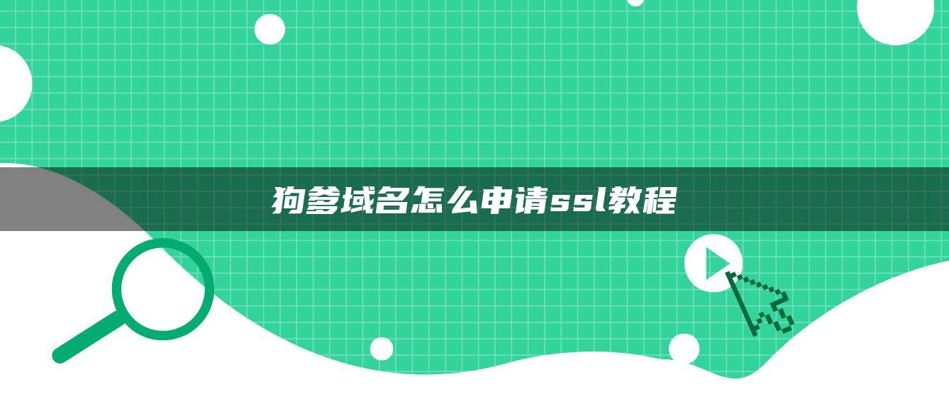 狗爹域名怎么申请ssl教程