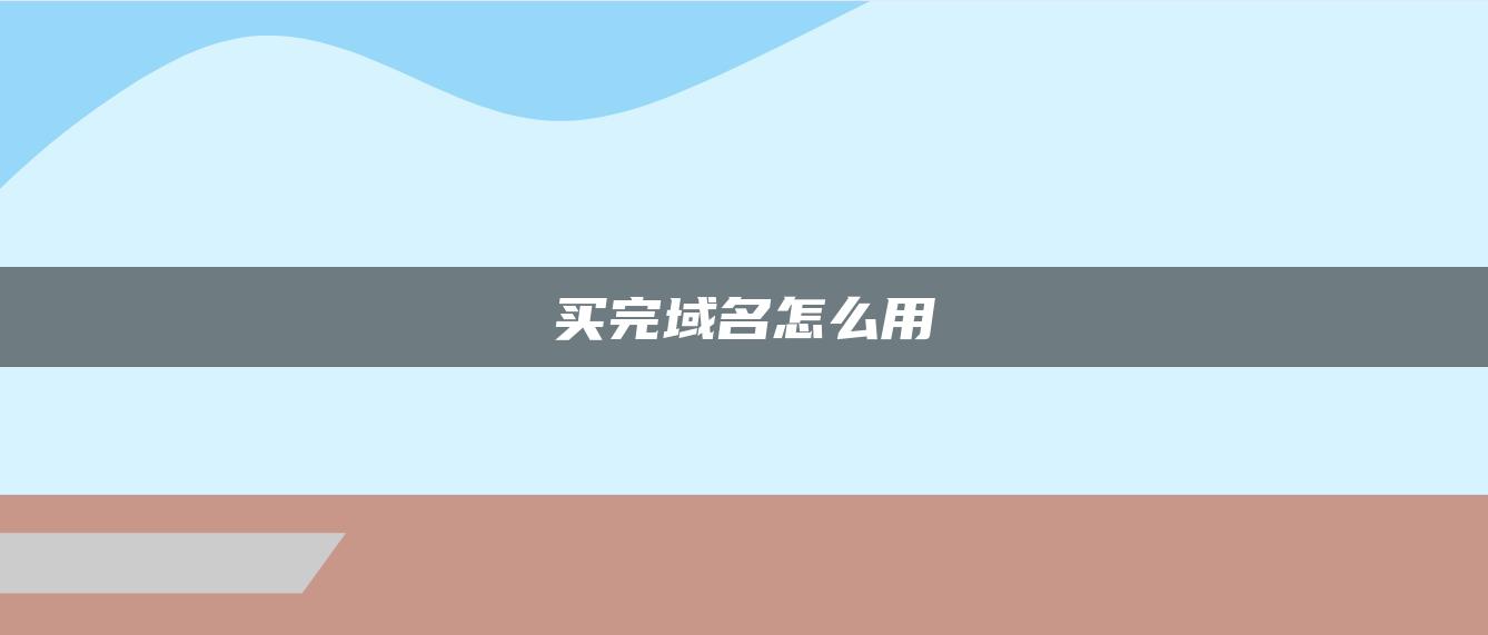 买完域名怎么用