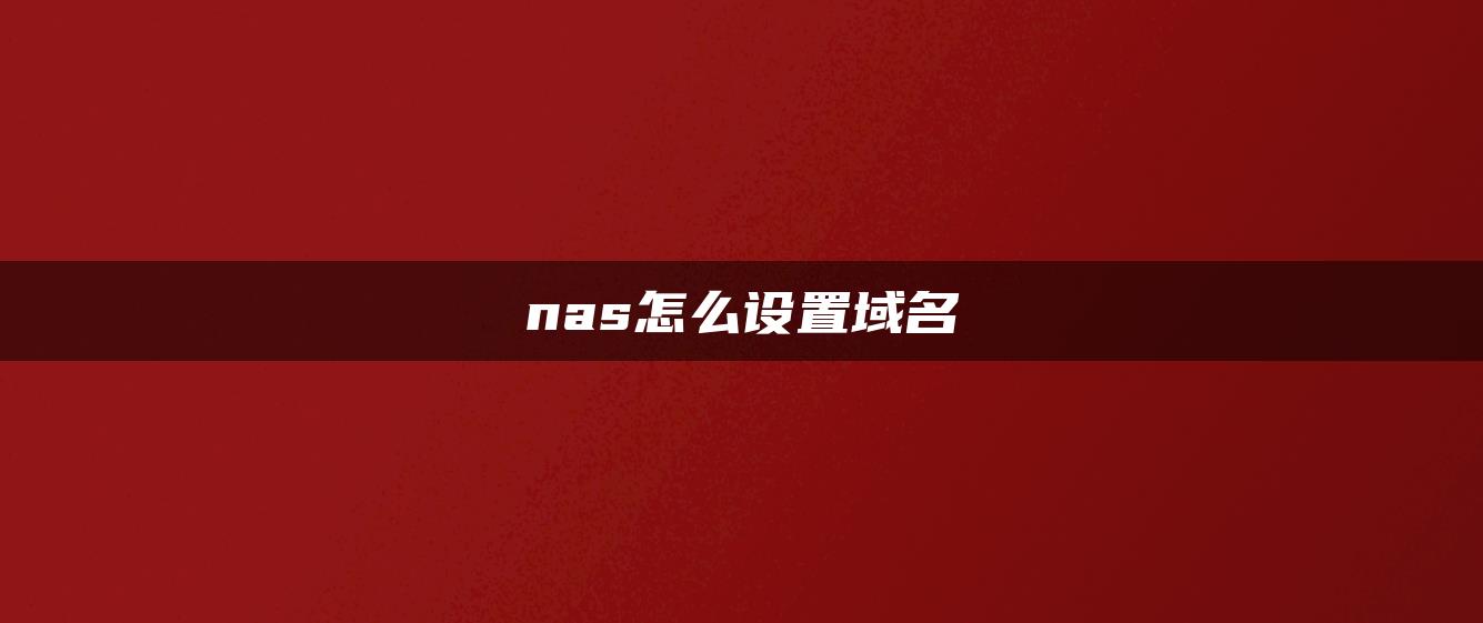 nas怎么设置域名