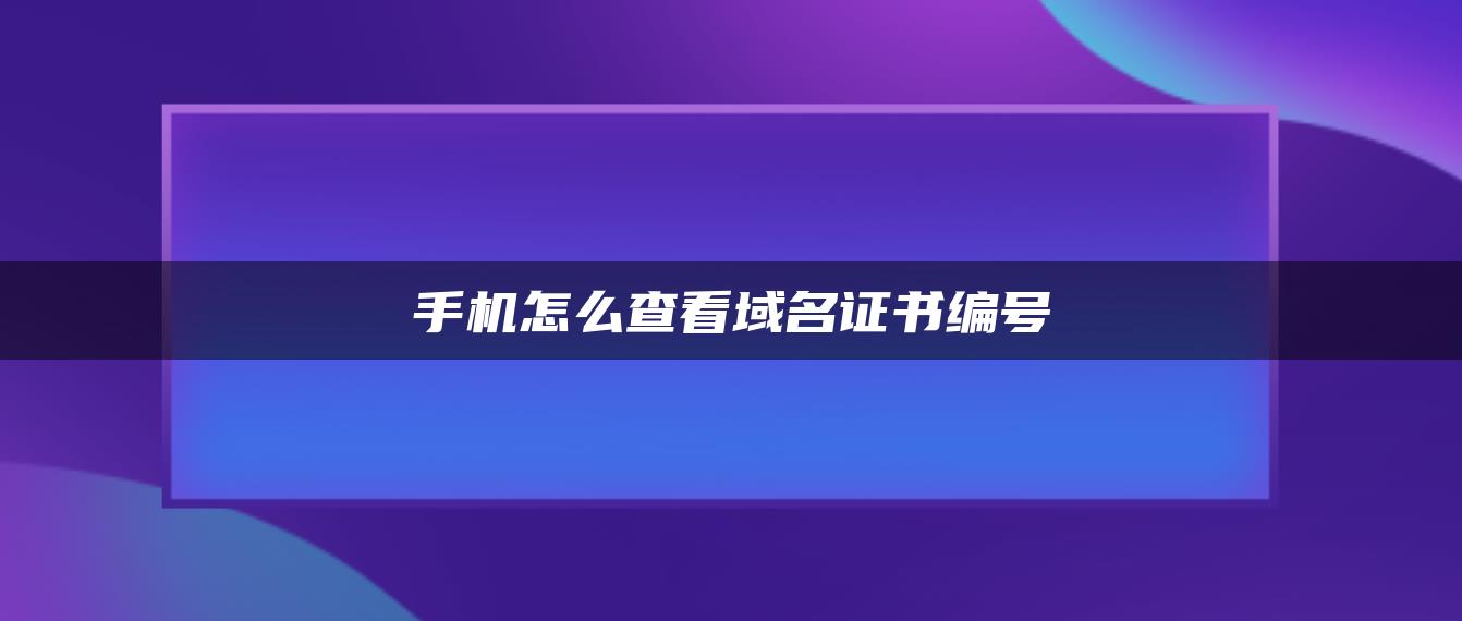 手机怎么查看域名证书编号