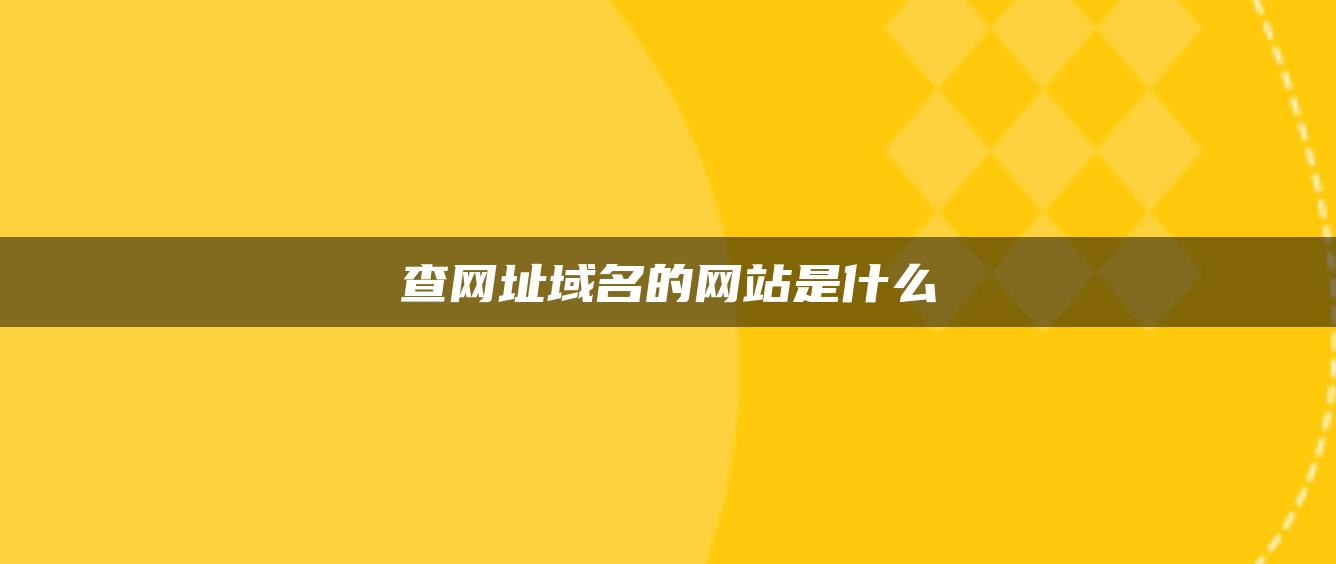 查网址域名的网站是什么