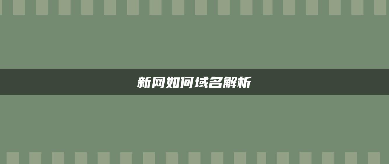 新网如何域名解析