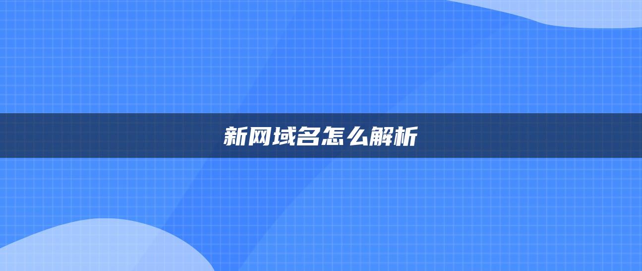 新网域名怎么解析