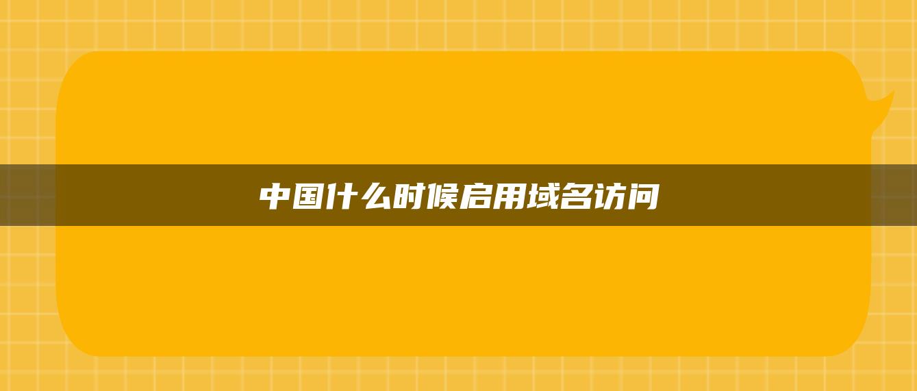 中国什么时候启用域名访问