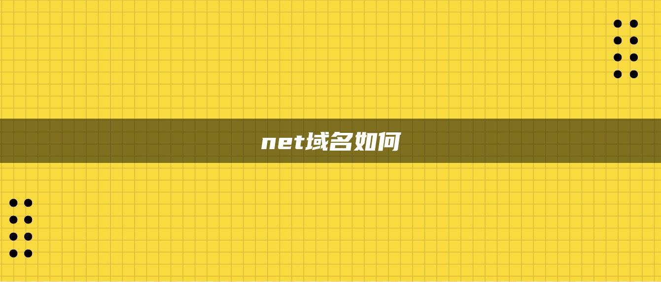 net域名如何