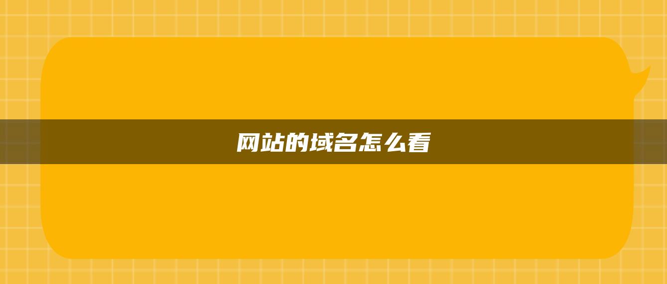 网站的域名怎么看