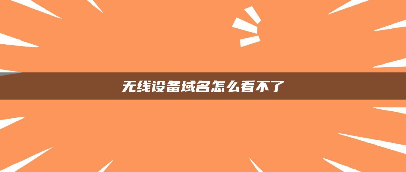 无线设备域名怎么看不了