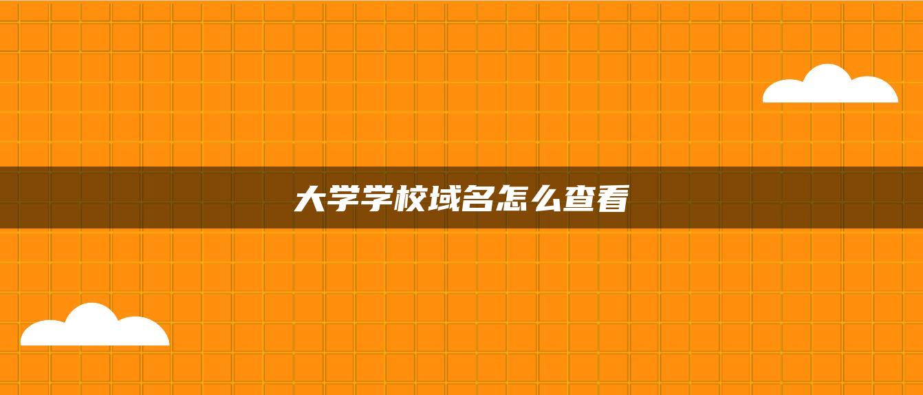 大学学校域名怎么查看