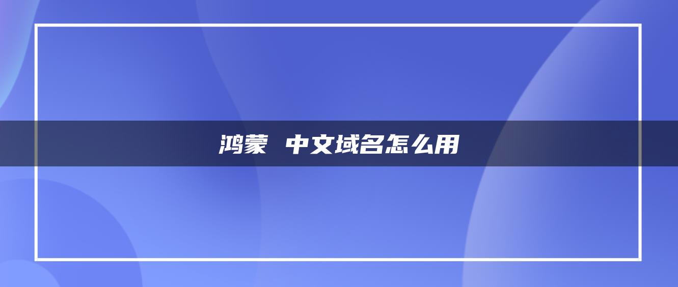 鸿蒙 中文域名怎么用