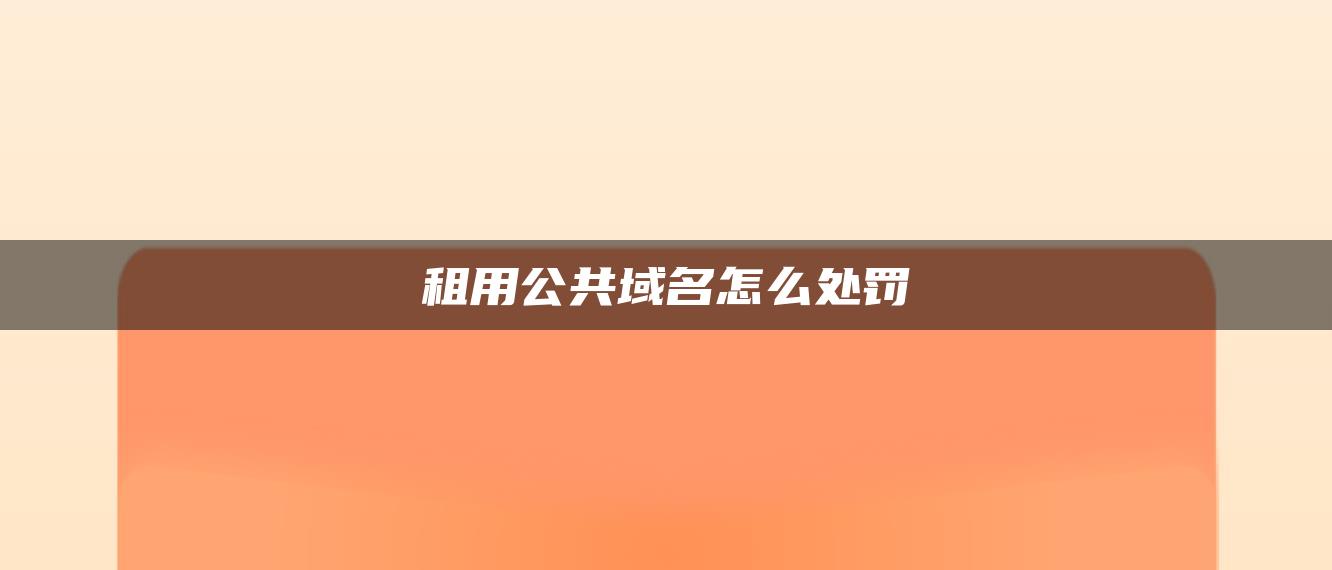 租用公共域名怎么处罚