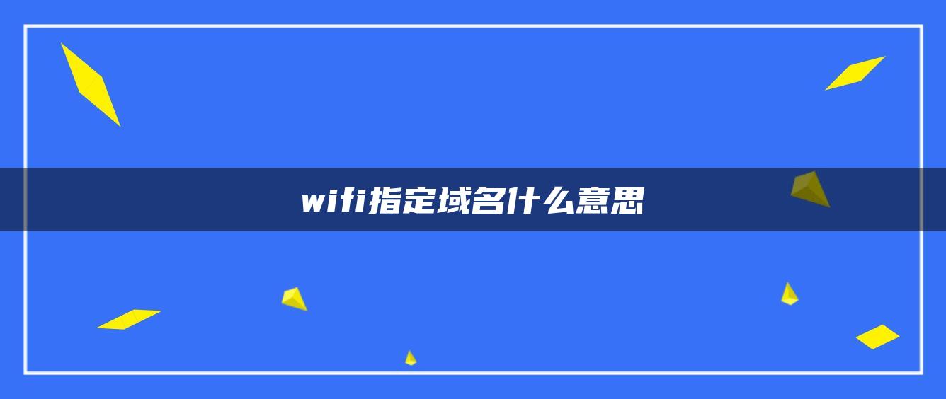 wifi指定域名什么意思