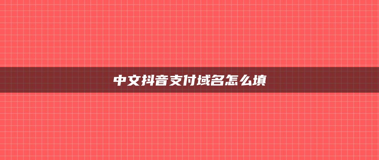 中文抖音支付域名怎么填