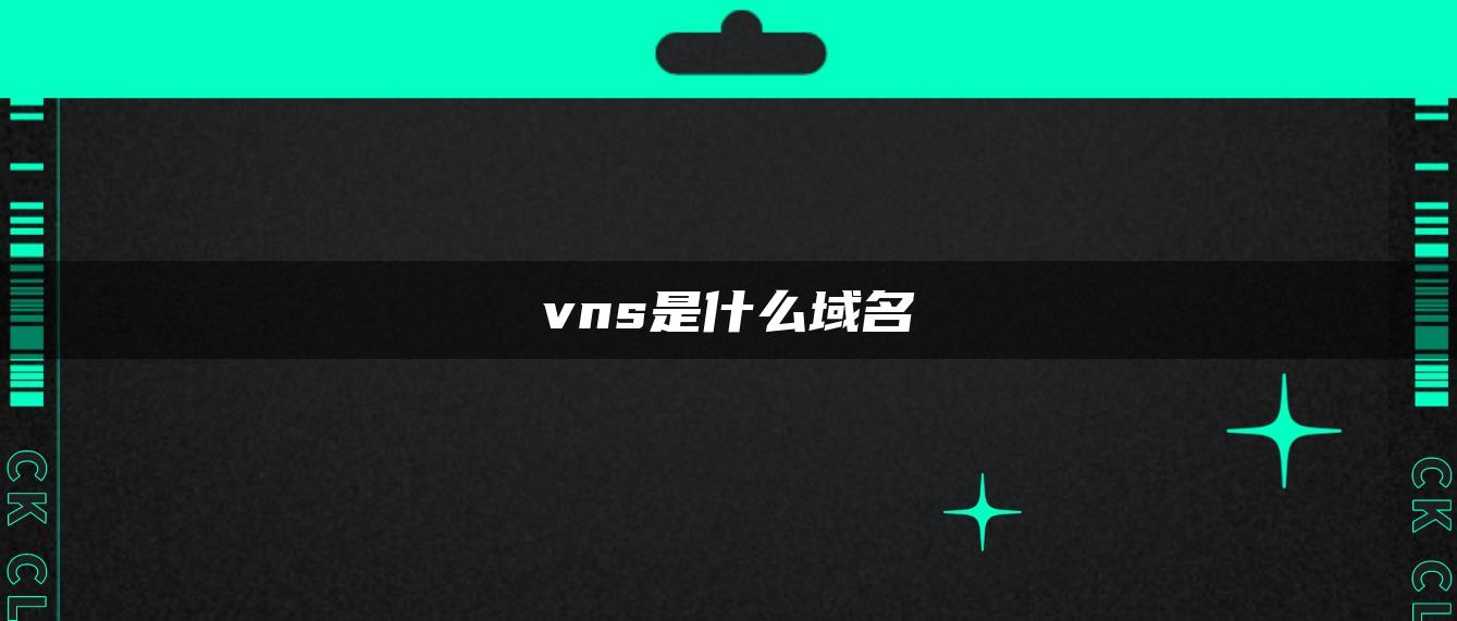 vns是什么域名