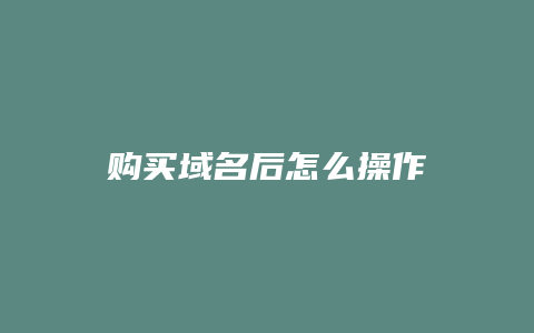 购买域名后怎么操作