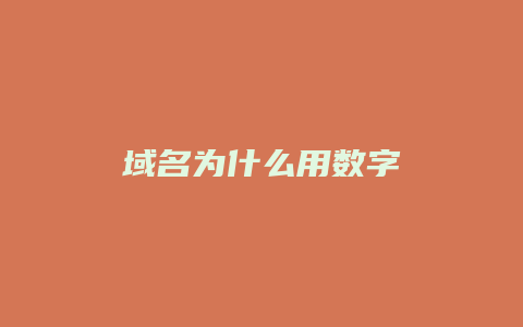 域名为什么用数字