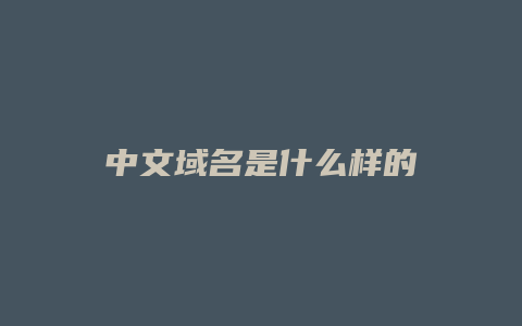 中文域名是什么样的