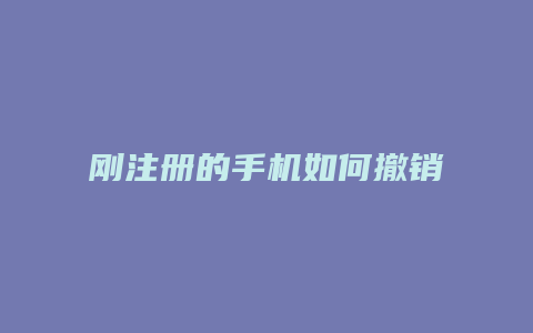 刚注册的手机如何撤销域名