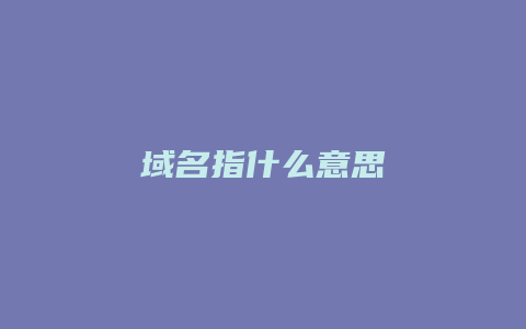 域名指什么意思