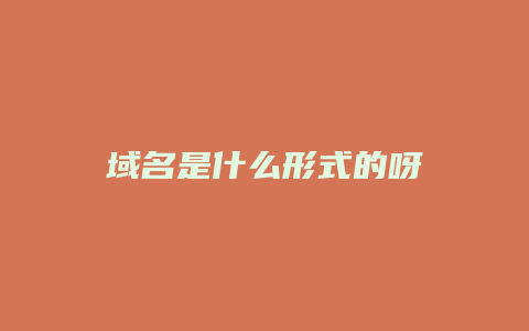 域名是什么形式的呀