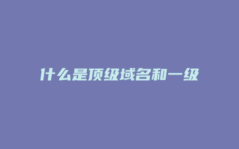 什么是顶级域名和一级域名