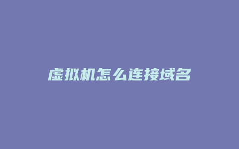 虚拟机怎么连接域名