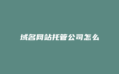 域名网站托管公司怎么查询