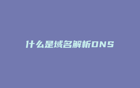 什么是域名解析DNS