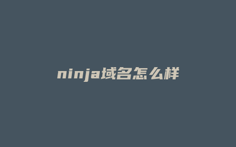 ninja域名怎么样