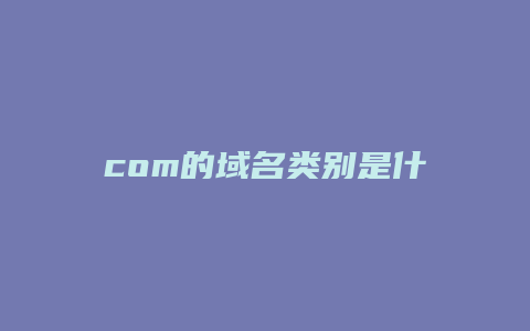 com的域名类别是什么