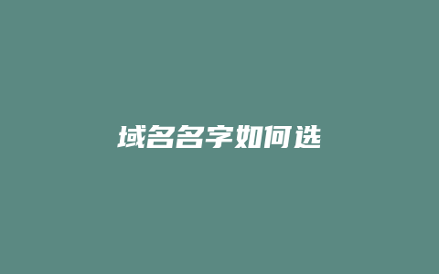 域名名字如何选