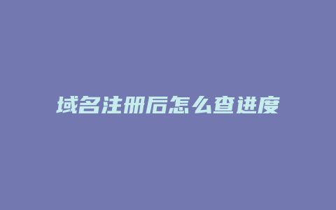 域名注册后怎么查进度