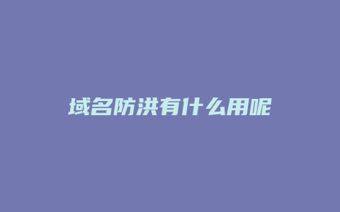 域名防洪有什么用呢