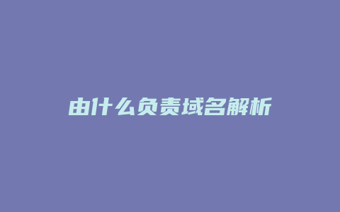 由什么负责域名解析