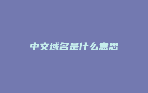 中文域名是什么意思