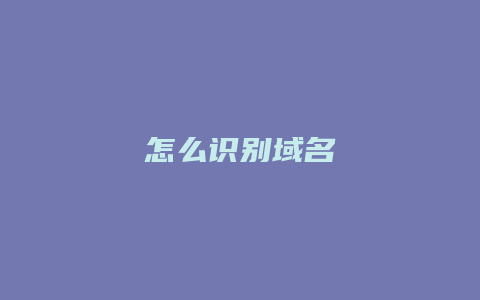 怎么识别域名