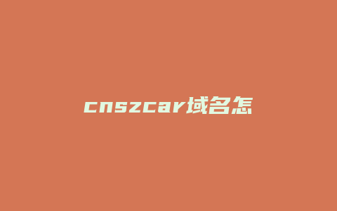 cnszcar域名怎么样