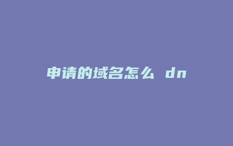 申请的域名怎么 dns