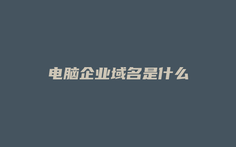 电脑企业域名是什么