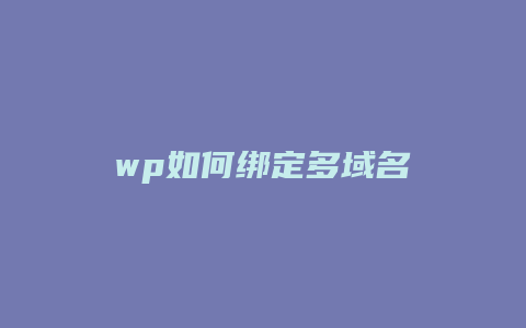 wp如何绑定多域名