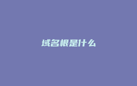 域名根是什么