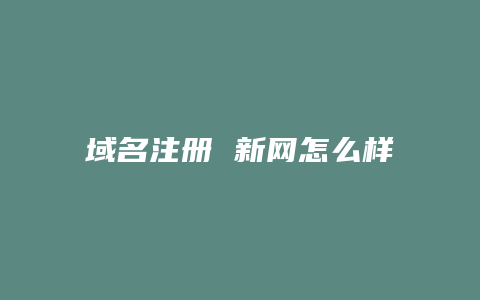 域名注册 新网怎么样