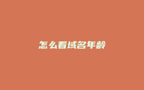 怎么看域名年龄